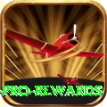 33d Pro Rewards