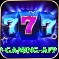x44 VIP Gaming App